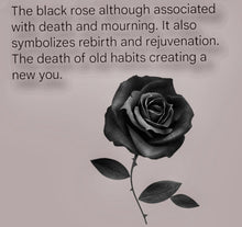 Load image into Gallery viewer, Skull-  Black rose - Sun Catcher