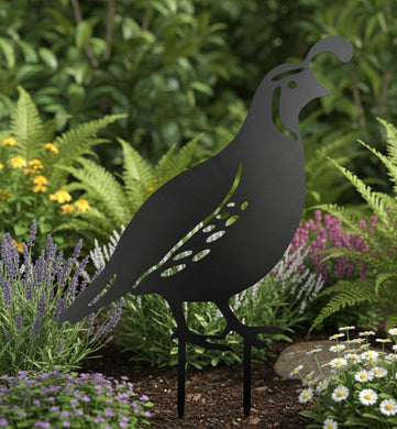 The Emblem of Devotion - Adult Quail