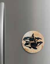 Load image into Gallery viewer, The Yin-Yang Pod - Fridge Magnet - Orca