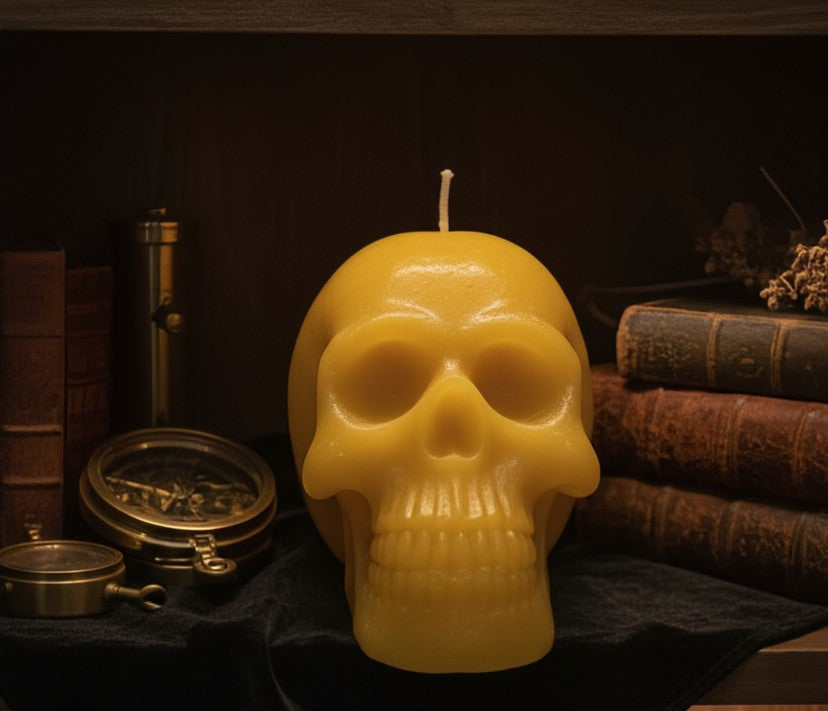 The Curator's -  Skull - candle