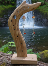 Load image into Gallery viewer, The Carnelian Current - Jellyfish - Earrings
