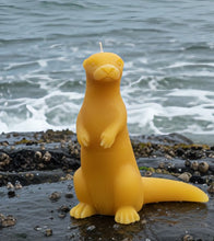 Load image into Gallery viewer, Sea Otter Embrace - Candle