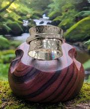 Load image into Gallery viewer, The Mist &amp; Motion - Spinner Ring