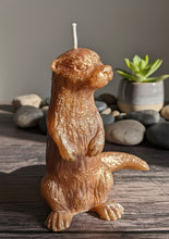 Load image into Gallery viewer, The Sun-Kissed Sea Otter - Candle