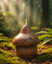 Load image into Gallery viewer, Folklore - Forest Dweller - Pudgy Mushroom - Candle