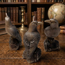 Load image into Gallery viewer, The Shadow &amp; The Rose - Raven - Candle