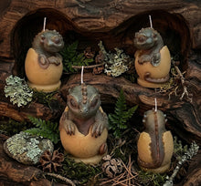 Load image into Gallery viewer, Obsidian Moss -  Dragon Hatchling - Candle