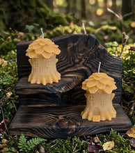 Load image into Gallery viewer, Whispering Moss Cottage - Candle