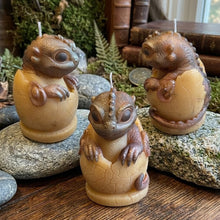 Load image into Gallery viewer, Ember's First Breath Hatchling - Dragon - Candle