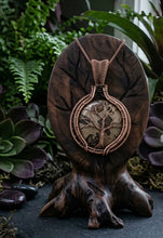 Load image into Gallery viewer, Earthbound Echo - Turritella Jasper - Necklace