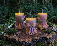 Load image into Gallery viewer, Driftwood Deity - Octopus - Candle