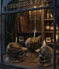 Load image into Gallery viewer, Primal Rebirth Totem - Candle - Wolf - Skull - Raven Stone