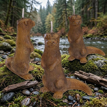 Load image into Gallery viewer, The Curious Coastal Otter - Candle