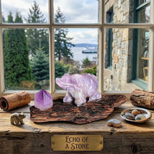 Load image into Gallery viewer, Pacific Slumber - Bear - Ornament