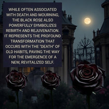 Load image into Gallery viewer, The Obsidian Rebirth - Bracelet