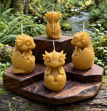 Load image into Gallery viewer, Mythic Meadow Hatchling - Candle