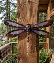 Load image into Gallery viewer, The Metamorphosis Talisman - Dragonfly - Sun catcher