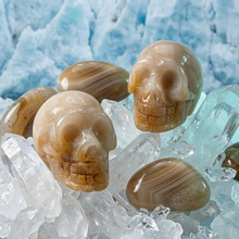 Load image into Gallery viewer, The Phoenix Stone - Mini Skull