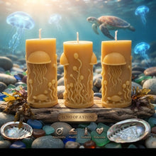 Load image into Gallery viewer, Tides of Wisdom - Jellyfish - Turtle - Candle