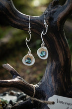 Load image into Gallery viewer, Whispers of the Pacific- Earrings - Abalone shell