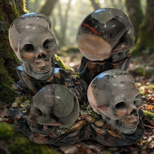 Load image into Gallery viewer, Blood stone - Skull