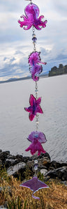 Octopus, starfish, Jellyfish, manta ray, Seahorse - Sun Catcher