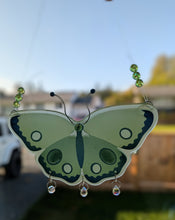 Load image into Gallery viewer, Butterfly - Sun catcher