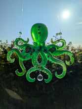 Load image into Gallery viewer, A Glimpse of the Pacific Octopus Sun - Catcher