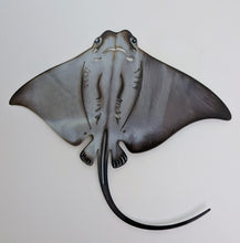 Load image into Gallery viewer, The Tide Walker - Manta Ray