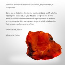 Load image into Gallery viewer, Kambaba Jasper