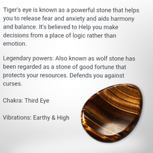Load image into Gallery viewer, Tiger Eye - Earrings - Echo of a Stone