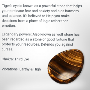 Tiger Eye - Earrings - Echo of a Stone