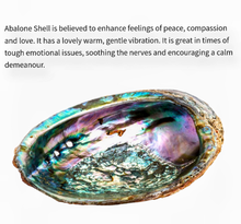 Load image into Gallery viewer, Octopus - Sun catcher - Echo of a Stone