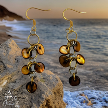 Load image into Gallery viewer, Tiger Eye - Earrings - Echo of a Stone