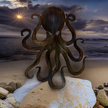 Load image into Gallery viewer, Octopus