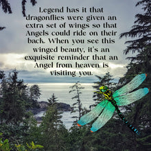 Load image into Gallery viewer, Celestial Messenger Drops- Dragonfly - Earrings