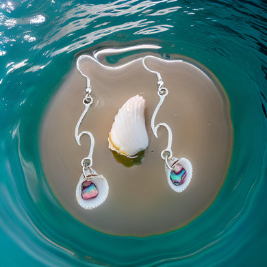 Abalone in sea shells - Earrings