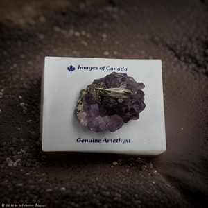 Orca on Amethyst chunk