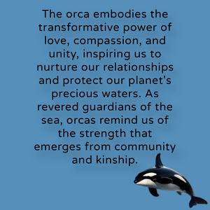 Orca - Ornament