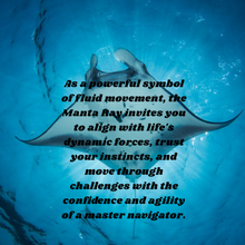 Load image into Gallery viewer, Master Navigator - Manta Ray - Sun Catcher