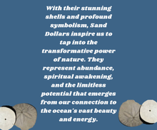 Load image into Gallery viewer, Tide and Tranquility - Chakra - Sand dollar - Bracelet