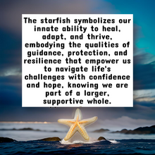 Load image into Gallery viewer, Midnight Tide Meditation - Candle - Jellyfish - Starfish - Raven Stone