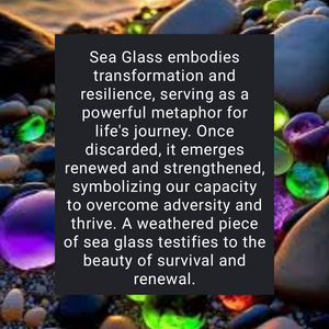 Oceans Embrace - Sea glass - Sand dollar - necklace