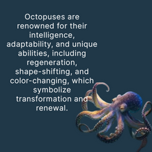 Load image into Gallery viewer, Tides Of Travel - Octopus - Rear View Mirror - Sun Catcher
