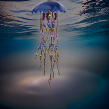 Load image into Gallery viewer, Jellyfish - Sun Catcher - Raven Stone