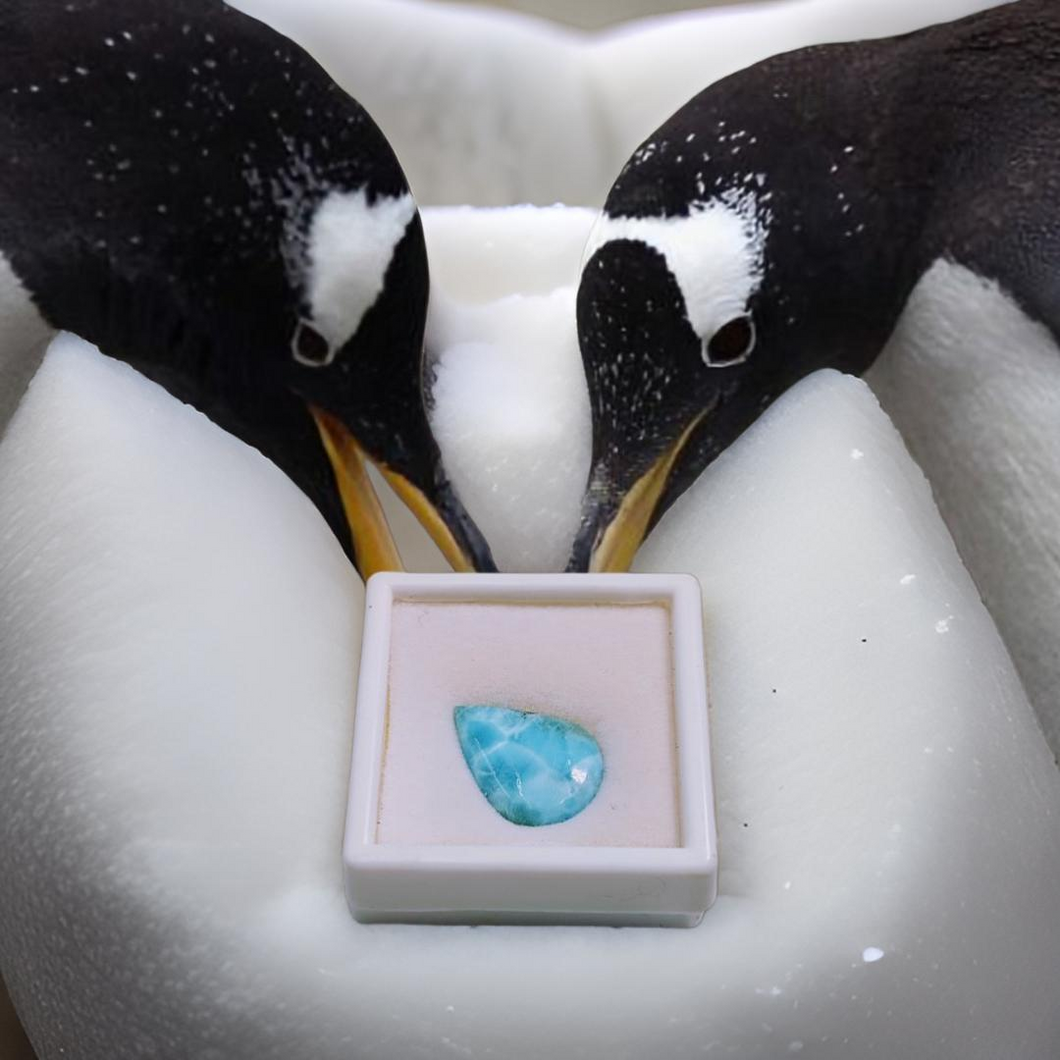 Pebble gift - Larimar