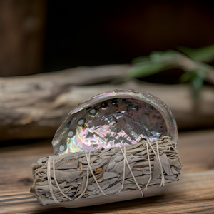 Abalone shell with white sage kit