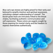 Load image into Gallery viewer, Sand dollar - Earrings