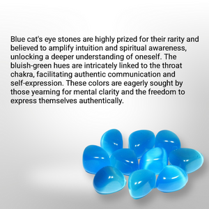Sand dollar - Earrings