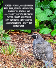 Load image into Gallery viewer, The Emblem of Devotion - Adult Quail